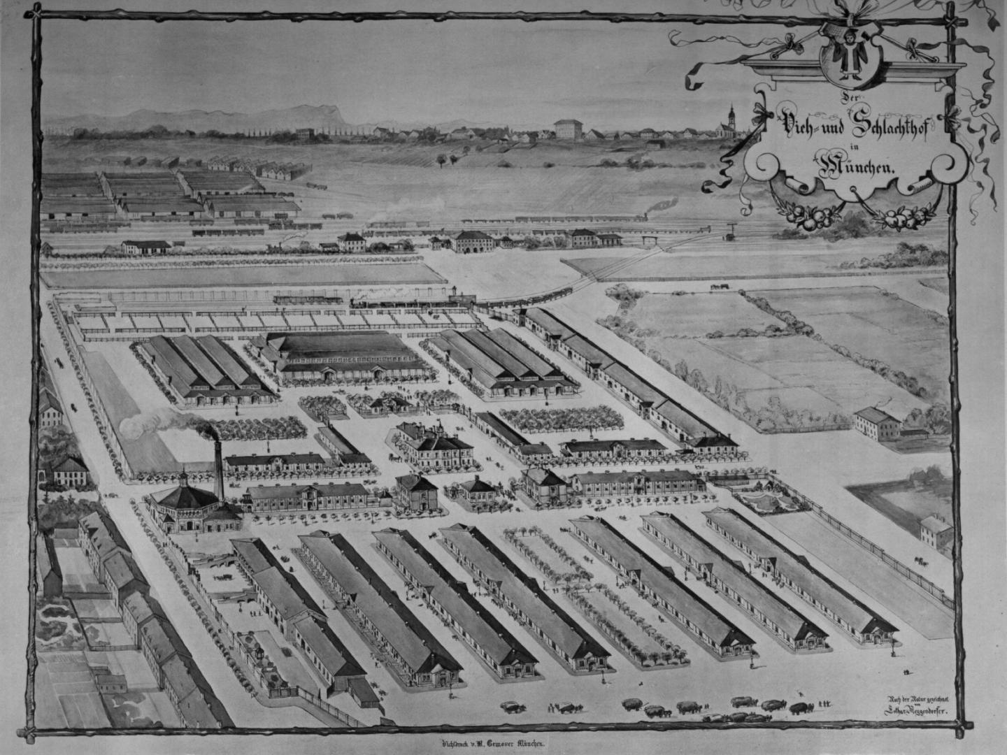 Eine altes schwarz-weiß Überblickszeichnung des Schlachthofs in München aus der Vogelperspektive.