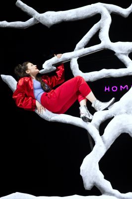 Nina Steils Rolle liegt auf einem Ast eines weißen Baumes und blickt in die Höhe.