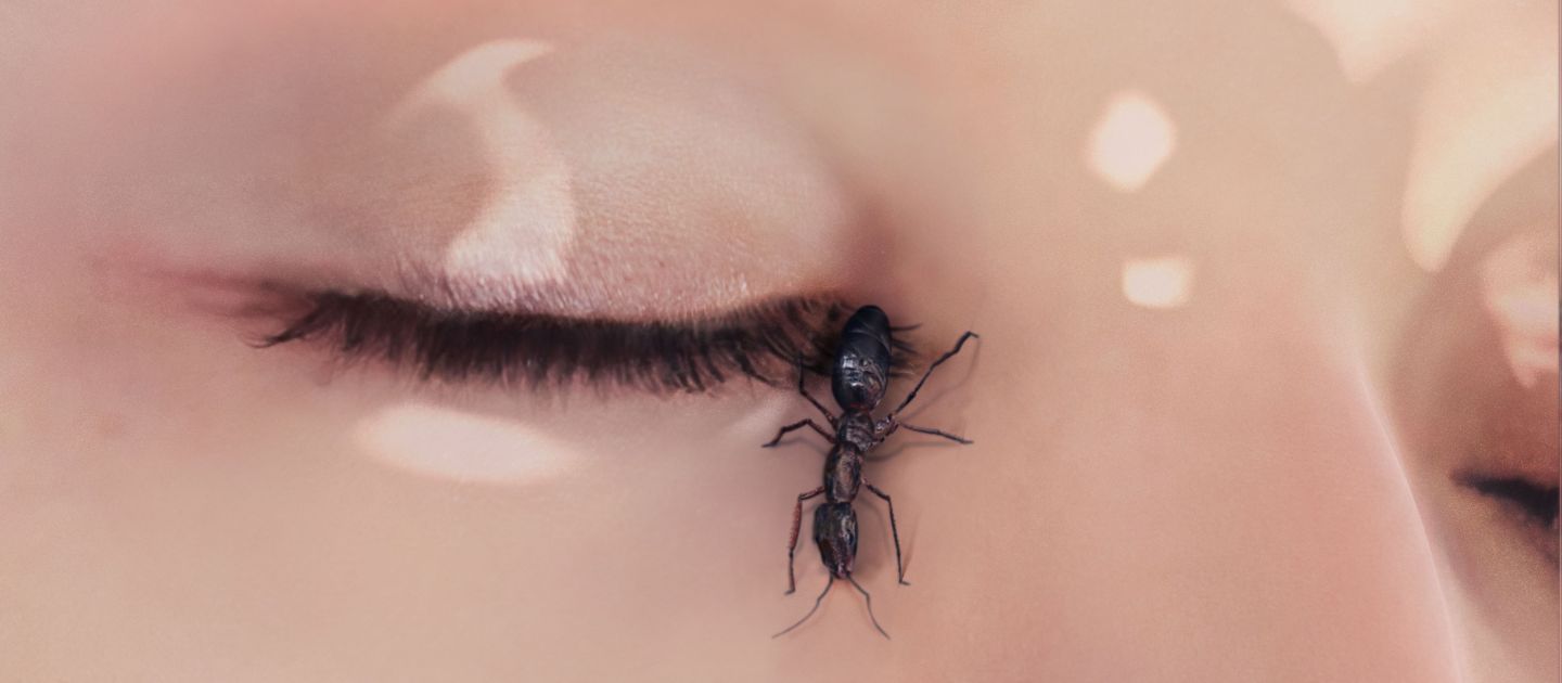 Plakatmotiv Mein Jahr der Ruhe und Entspannung. Auf einem Gesicht krabbelt eine Ameise am gesschlossenen Auge. Das Gesicht wirkt glänzend blass mit roten Augenbrauen und Lippen ist.