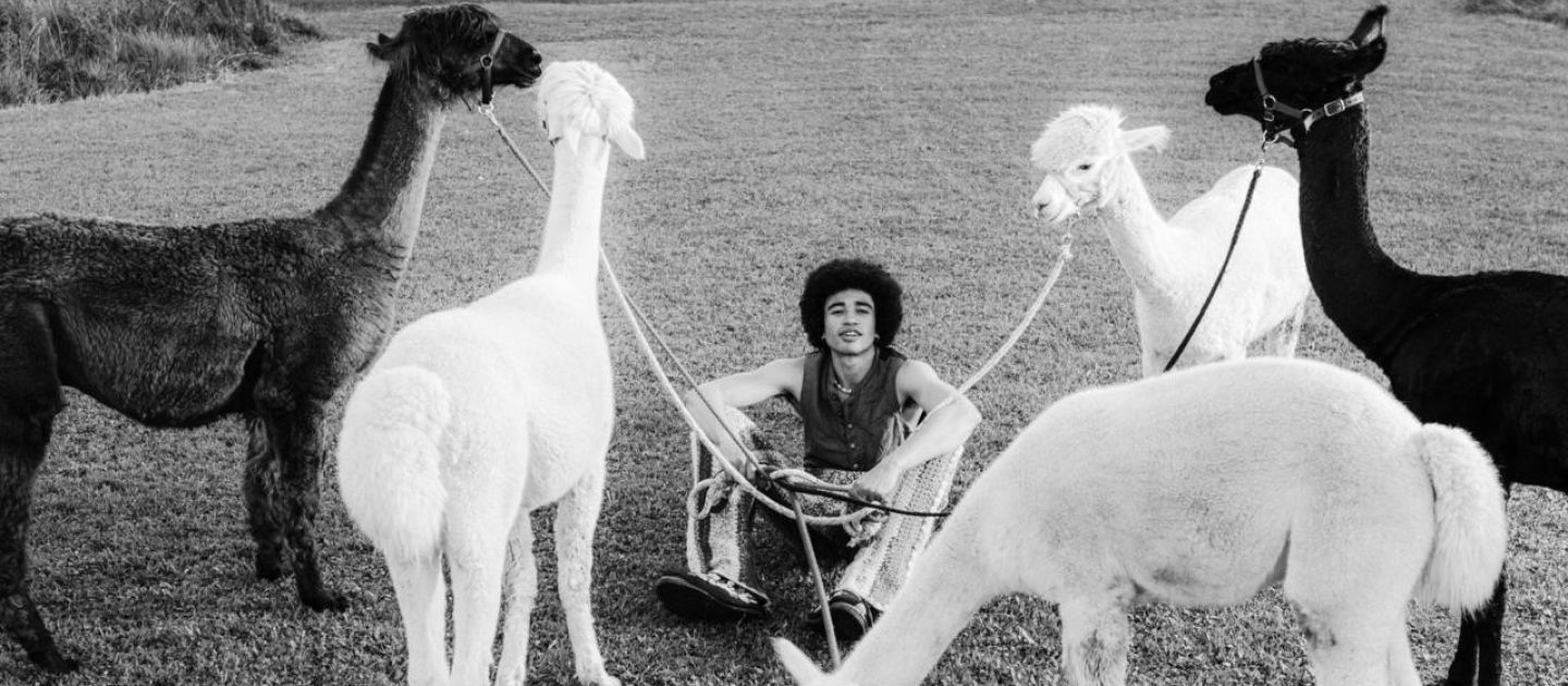 Freddy sitzend auf einer Wiese im Kreis von fünf Alpacas, schwarz-weiß.
