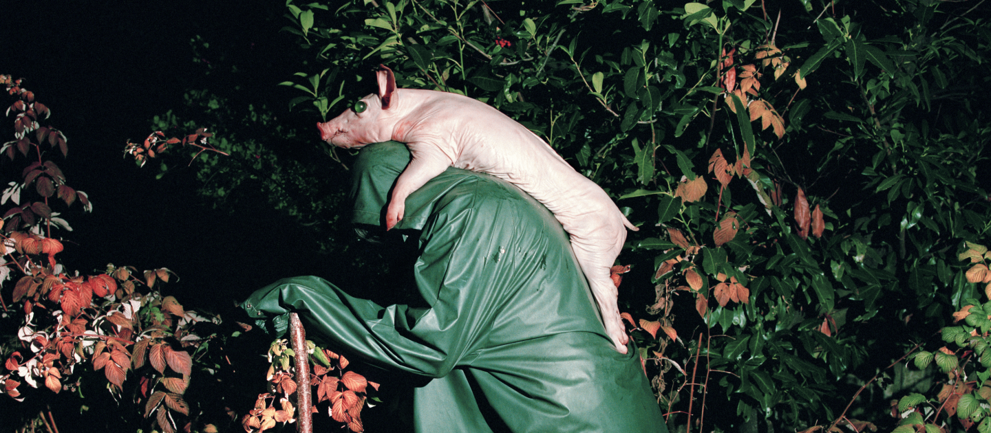 Eine Person in grünem Regencape trägt ein Schwein mit grünen Murmelaugen auf dem Rücken.