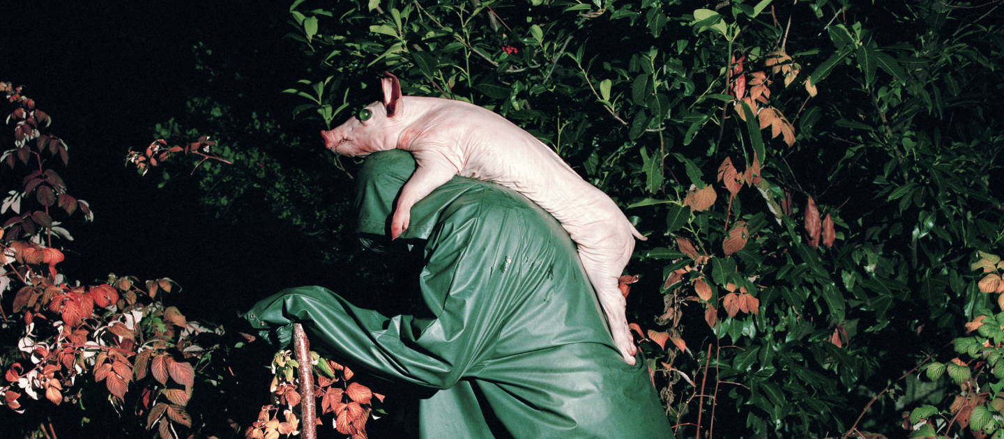 Eine Person in grünem Regencape trägt ein Schwein mit grünen Murmelaugen auf dem Rücken.