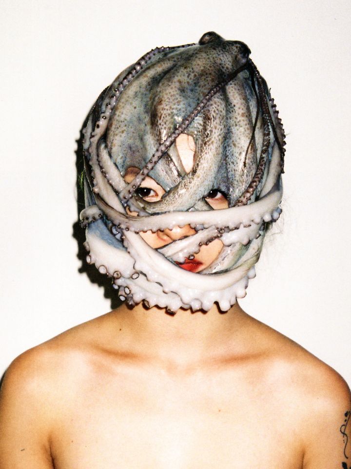 Fischer Fritz Motiv (c) Han Ren