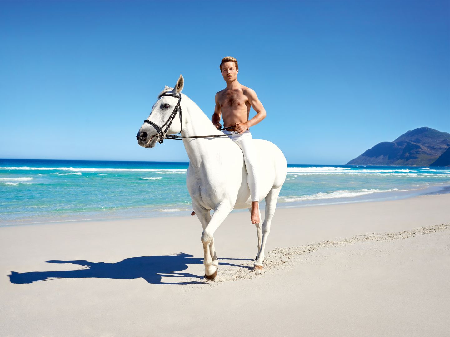 Das Motiv zeigt einen Mann auf einem Pferd am Strand