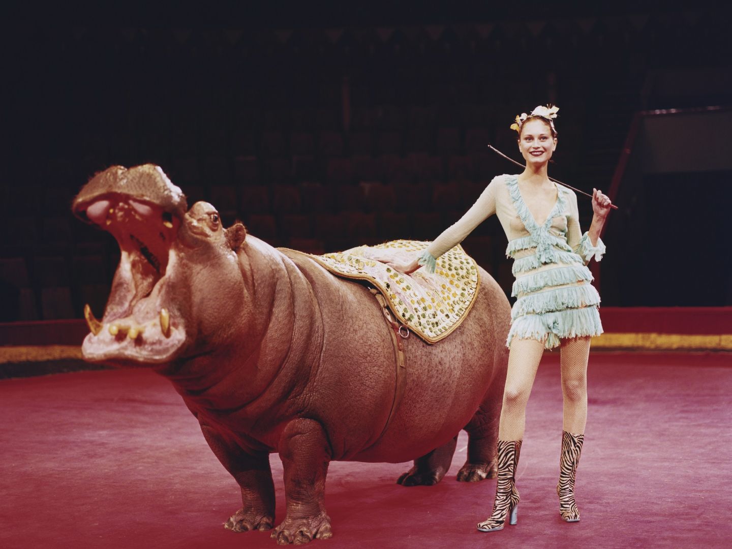 Eine Frau steht neben einem Zirkusnilpferd.