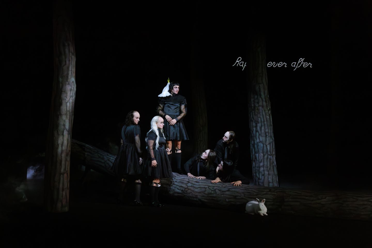 Das Ensemble von THE LOBSTER ganz in Schwarz. Vorne sitzt ein weißer Hase.