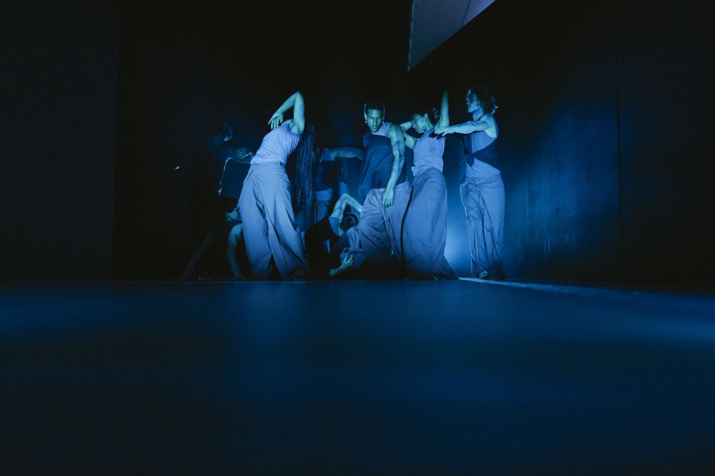 Ensemble (c) Marcella Ruiz Cruz