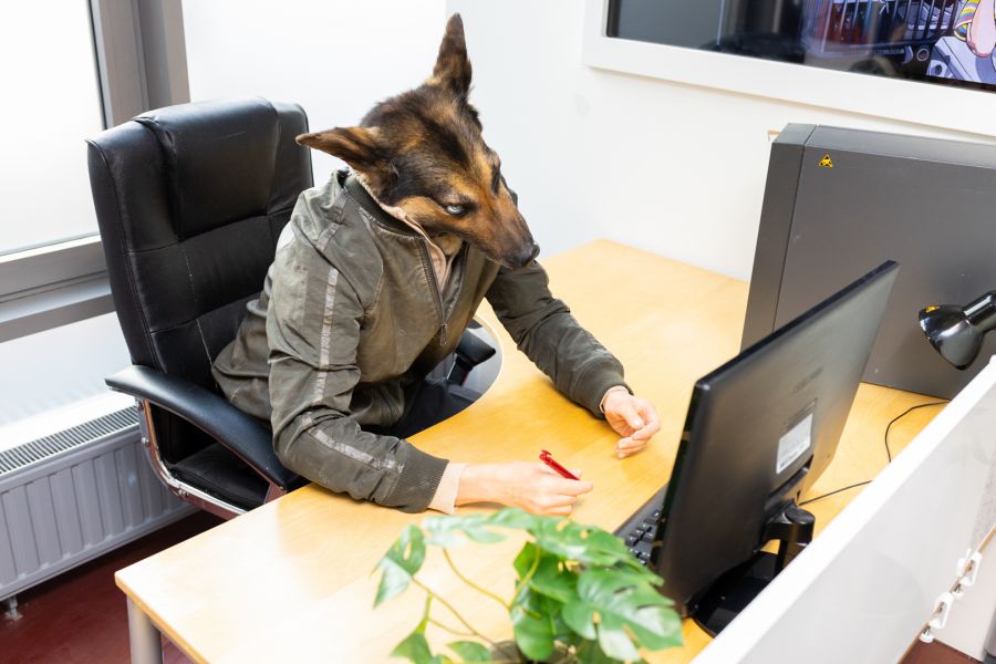 Ein Foto von einer Person mit einer Wolfsmaske, die an einem Schreibtisch sitzt.